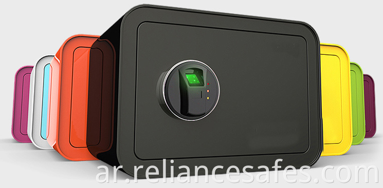 Mini Biometric safe